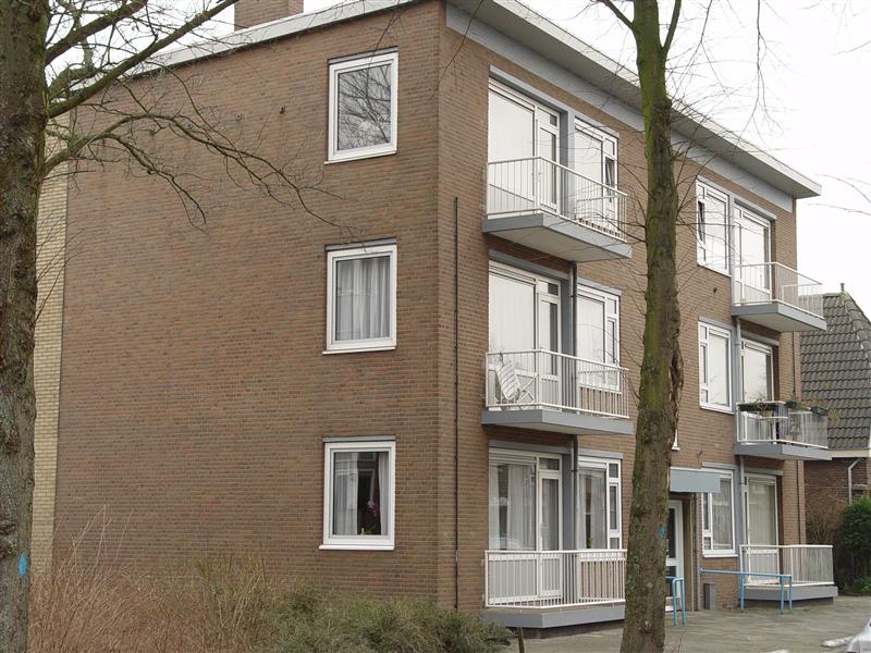 Hertogstraat 19