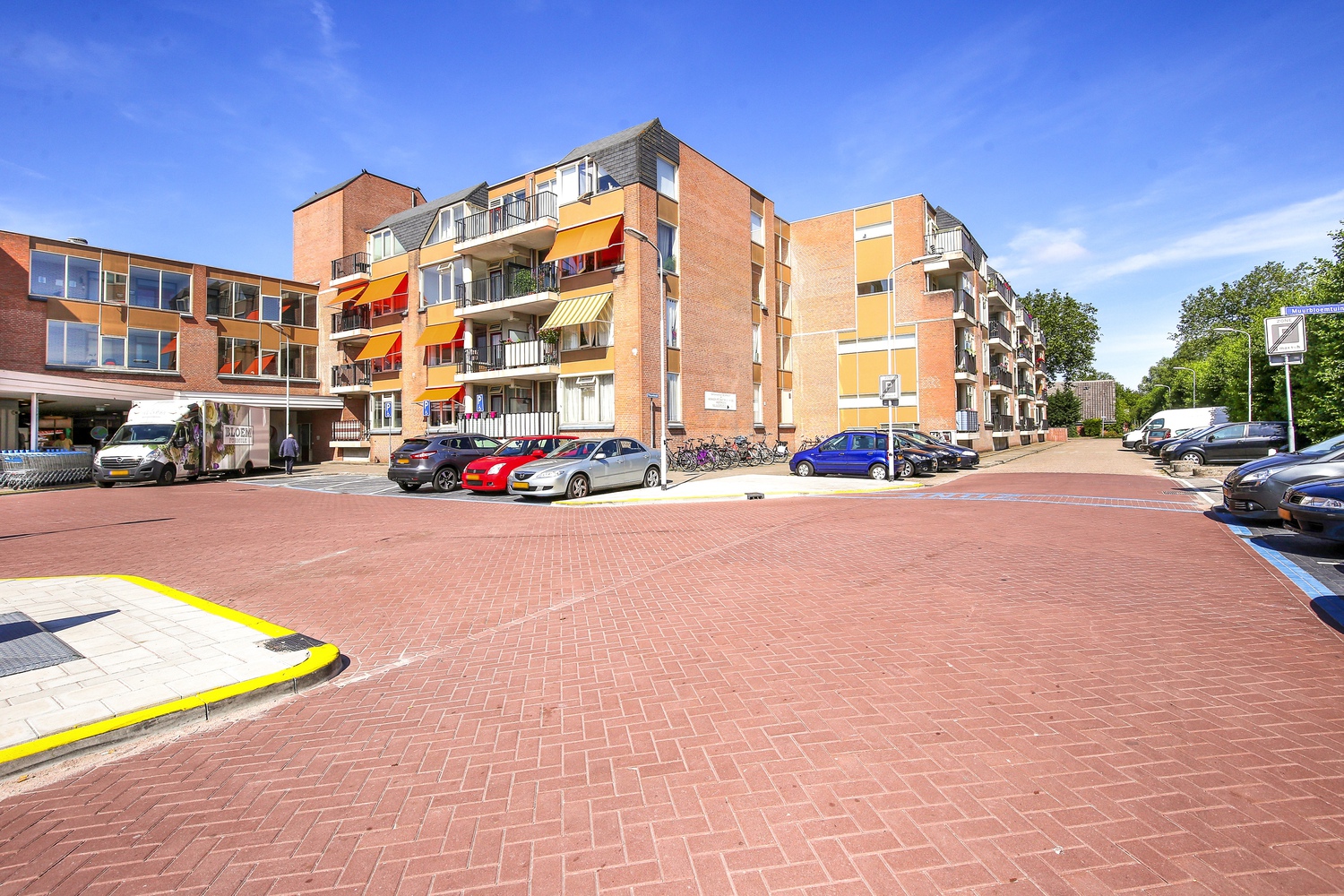 Petuniatuin 77