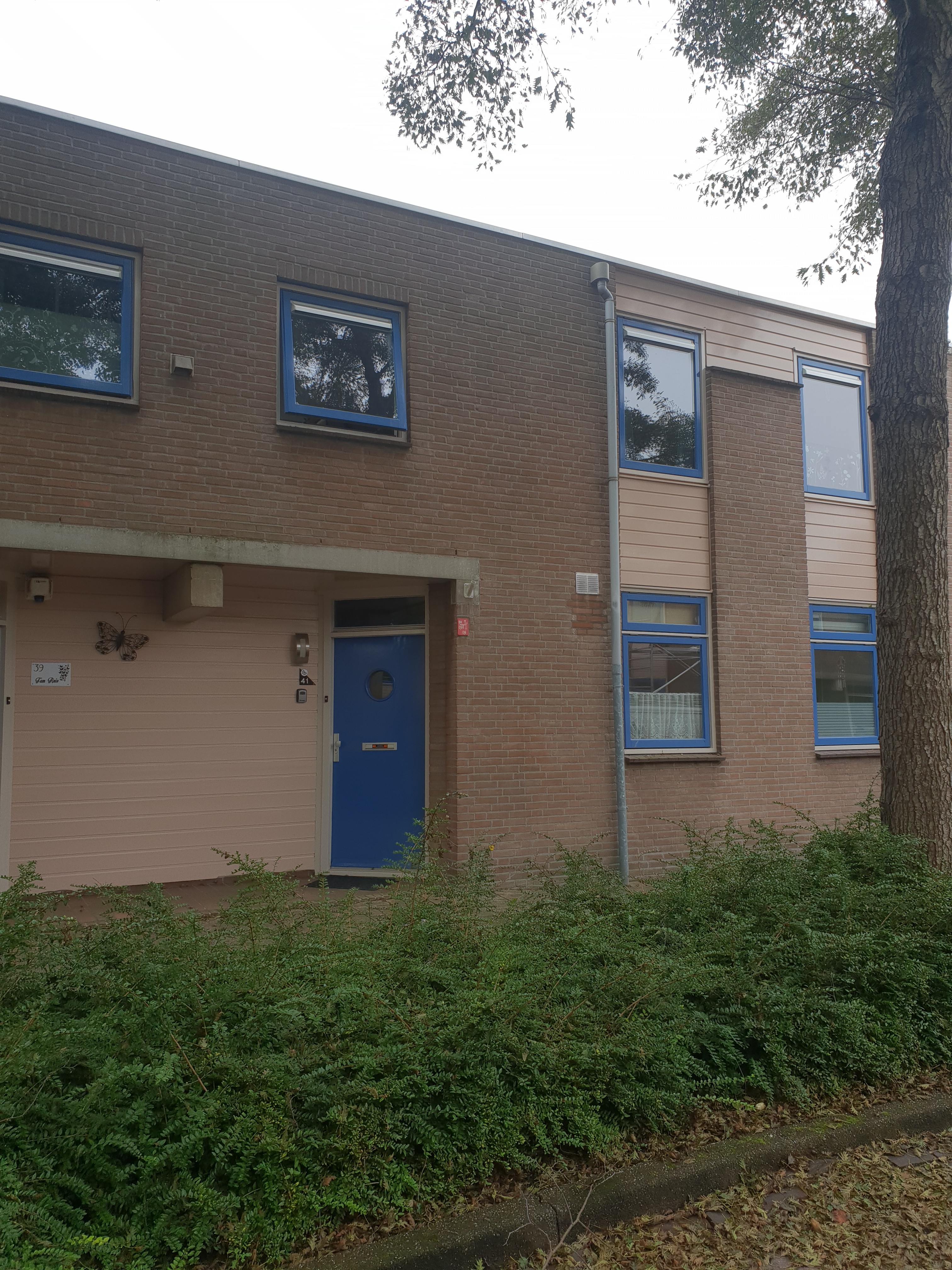 Valkehorst 41, 2675 WD Honselersdijk, Nederland