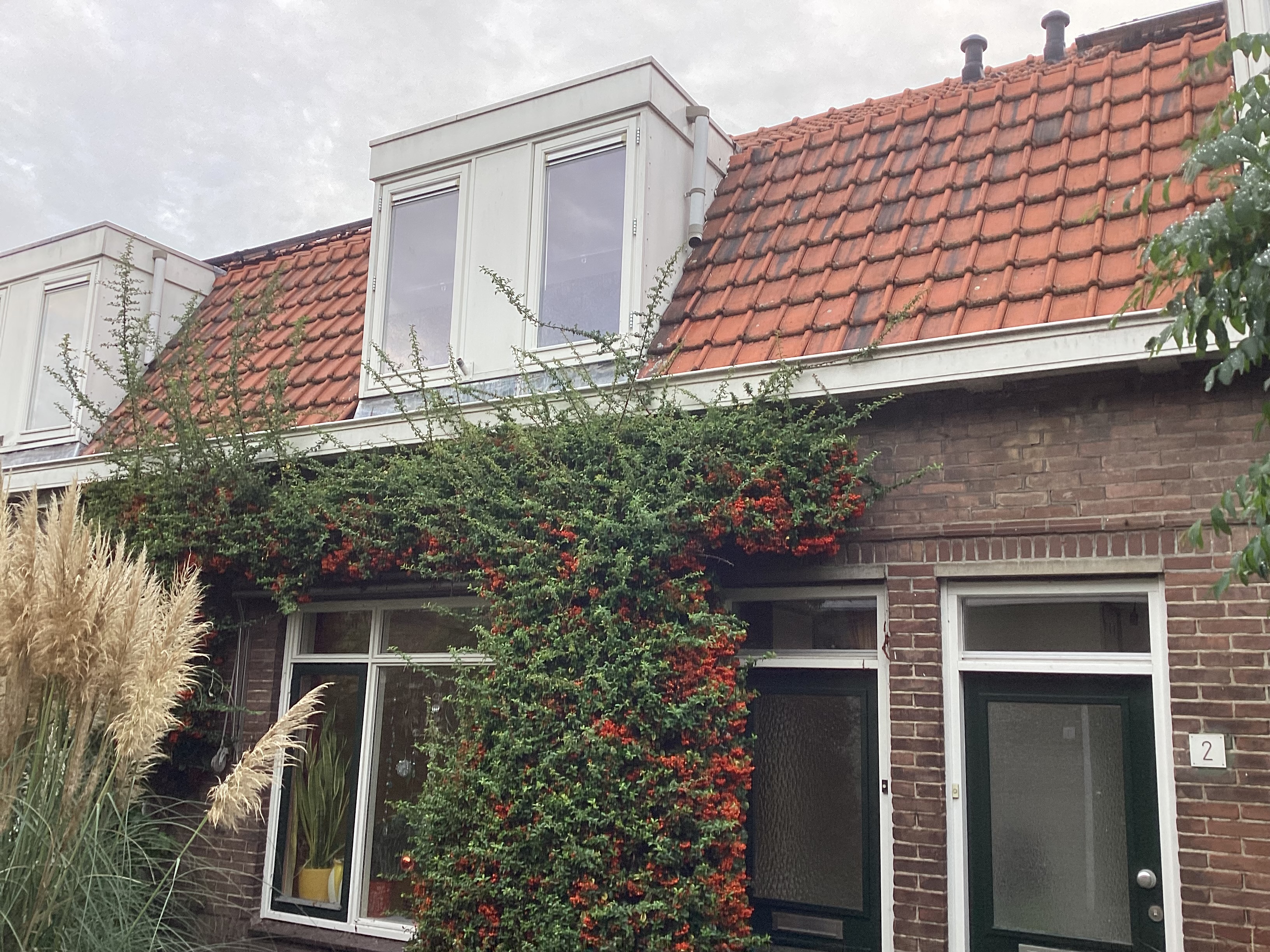 G.J.A. van Marrewijkstraat 4, 2635 EX Den Hoorn, Nederland