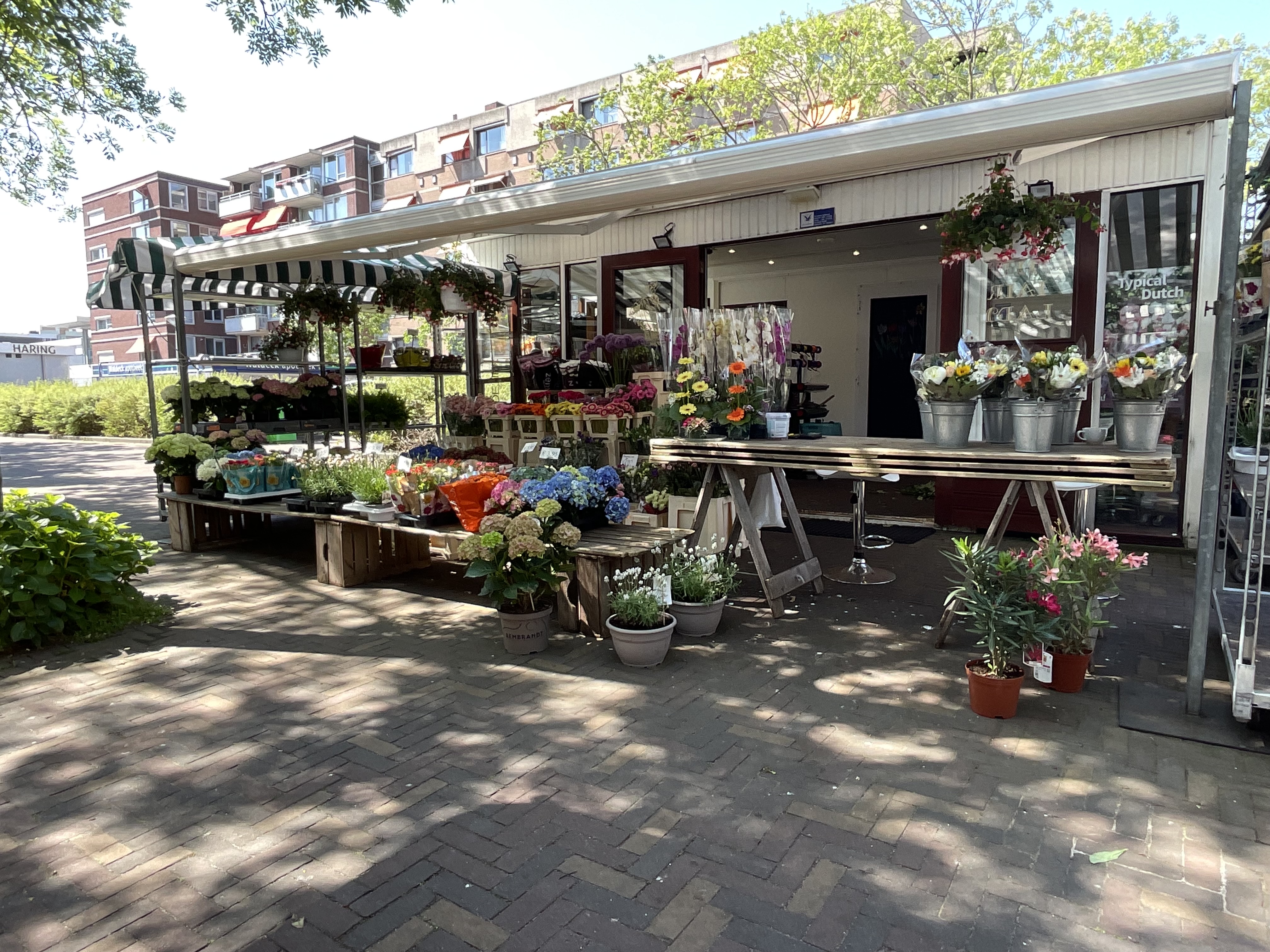Okkernootstraat 163