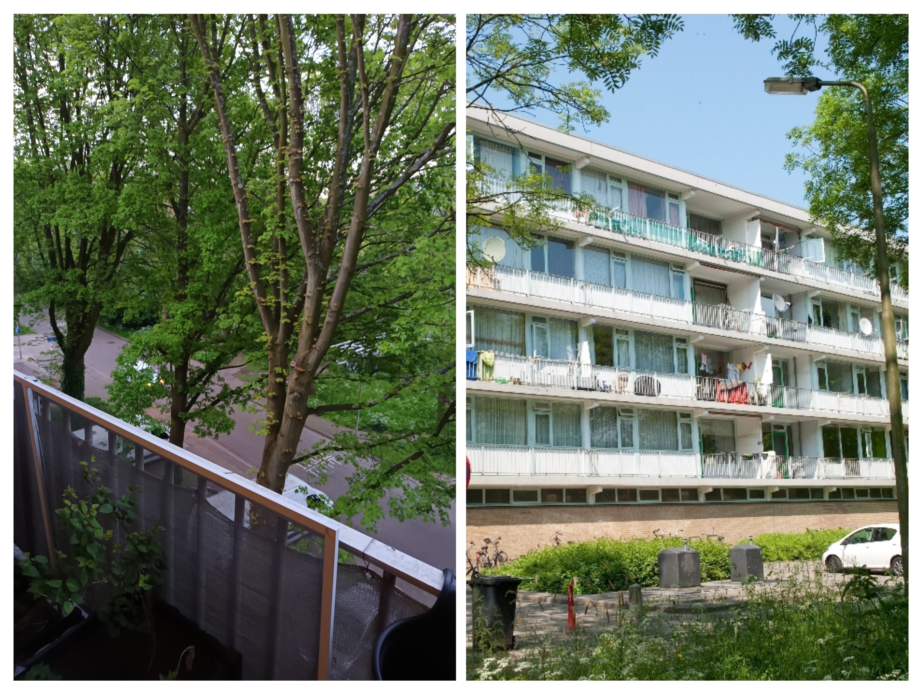 Bachsingel 64, 2625 TC Delft, Nederland