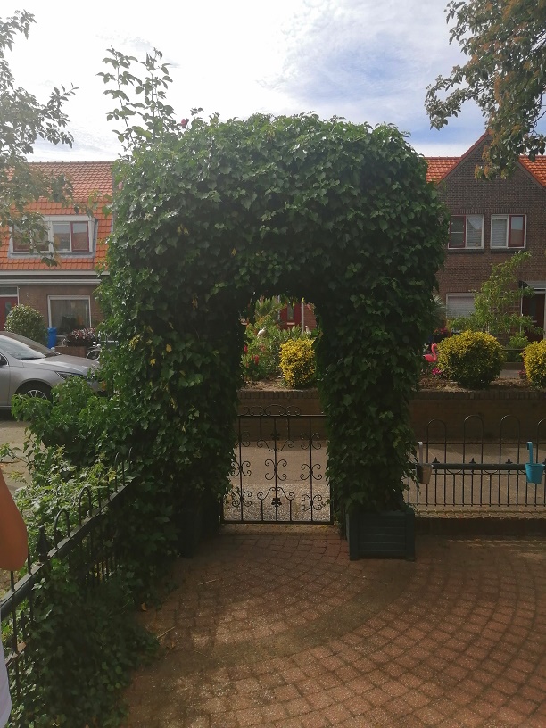 Willem Marisstraat 20