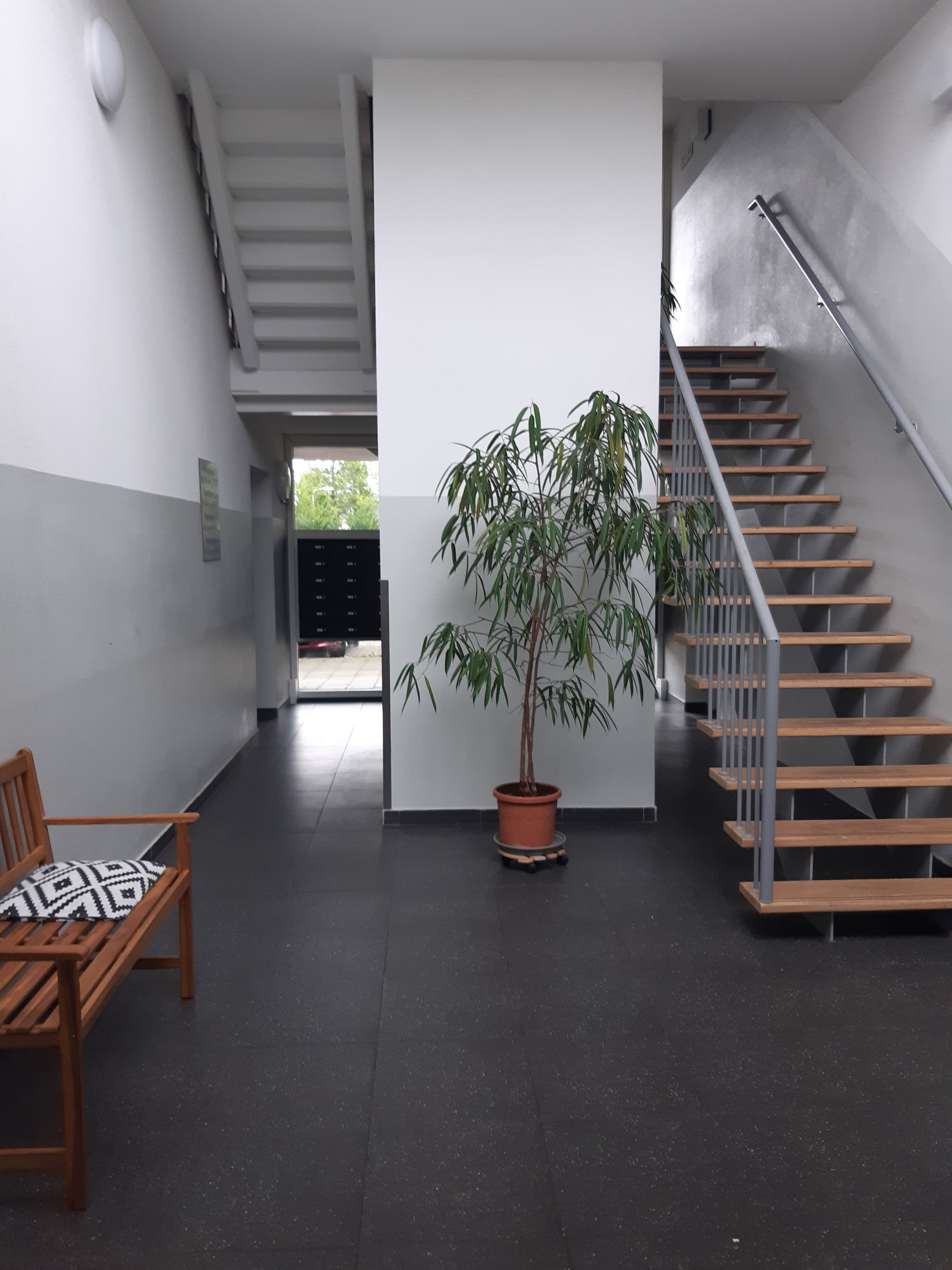 Gele Kwikstaart 39