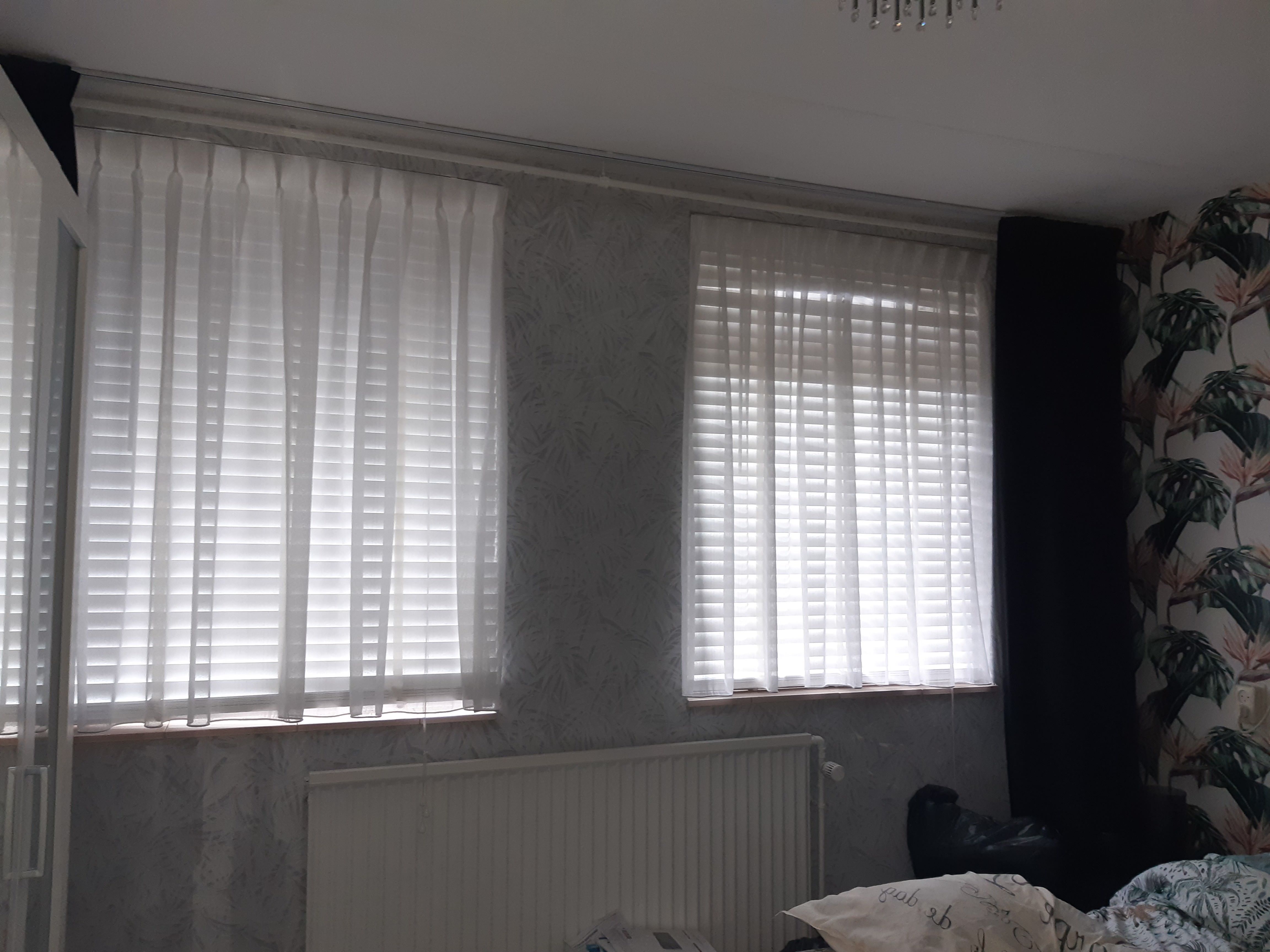 Gele Kwikstaart 39