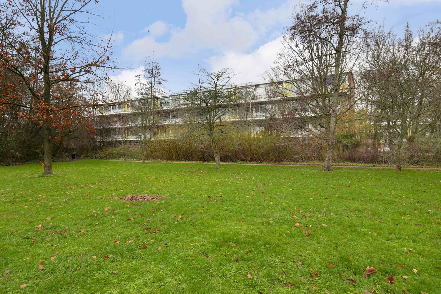 Pijperring 21