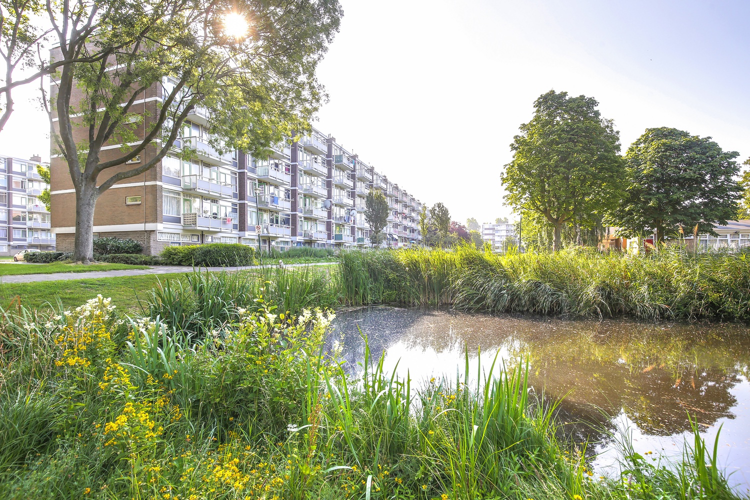 Burgemeester Velthuijsenlaan 216