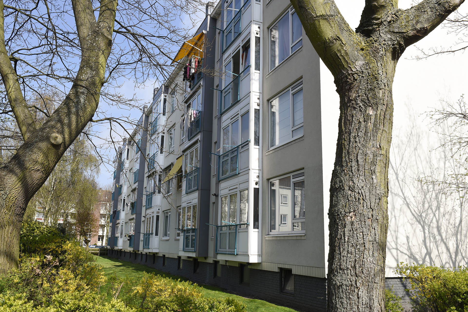 Wethouder Hillenaarplantsoen 5