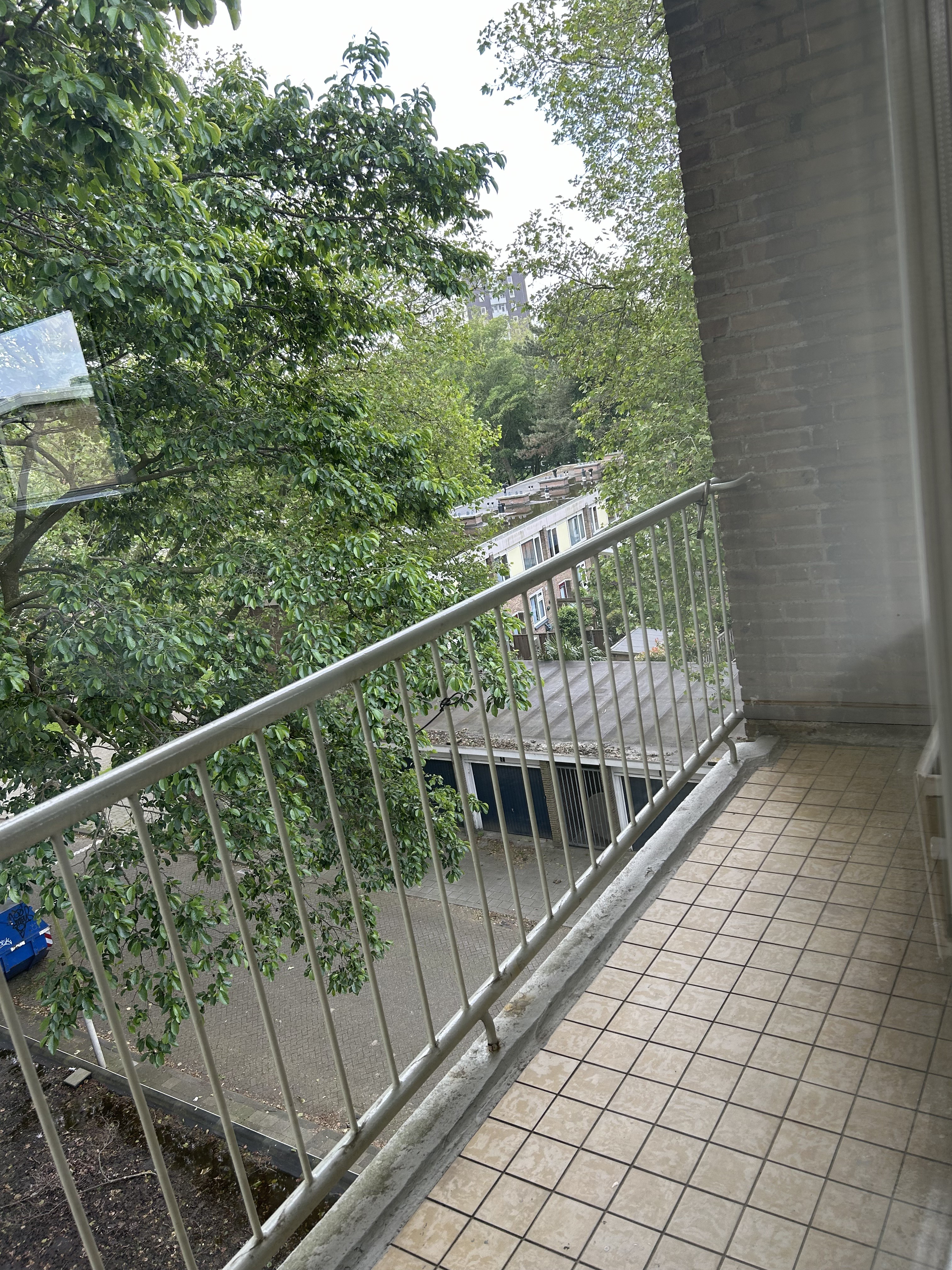 Robijnhorst 21