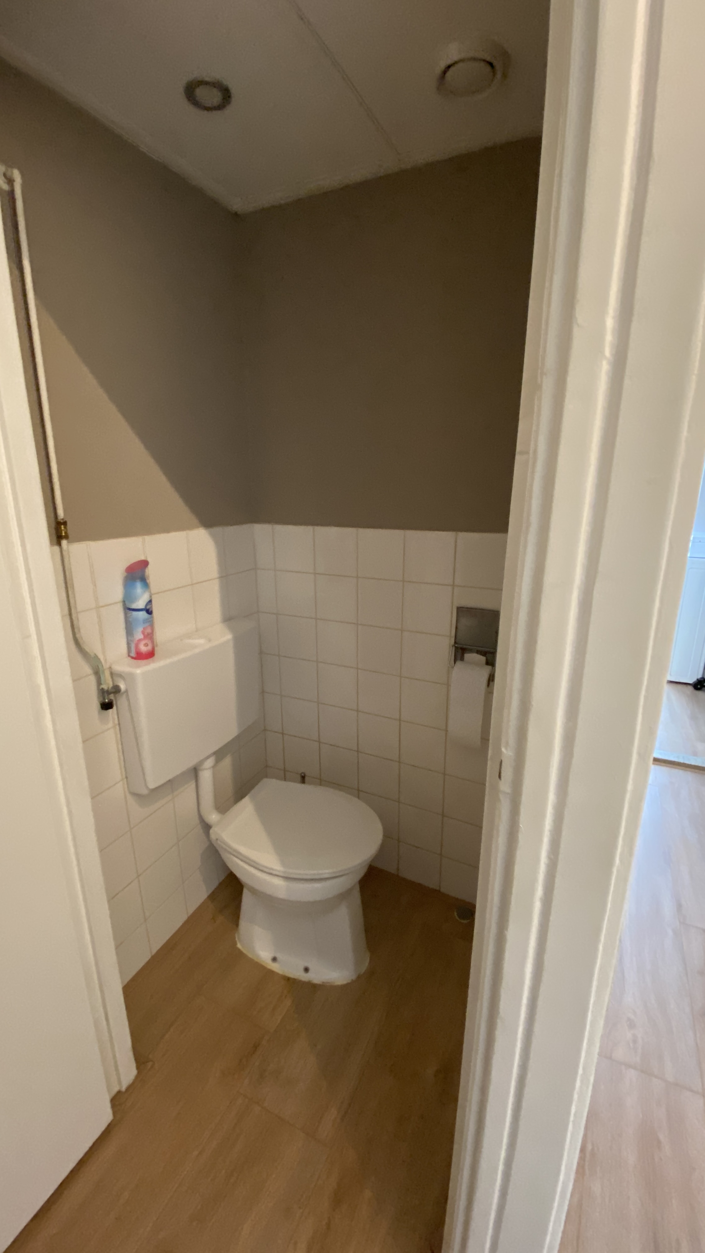 Professor Telderslaan 133