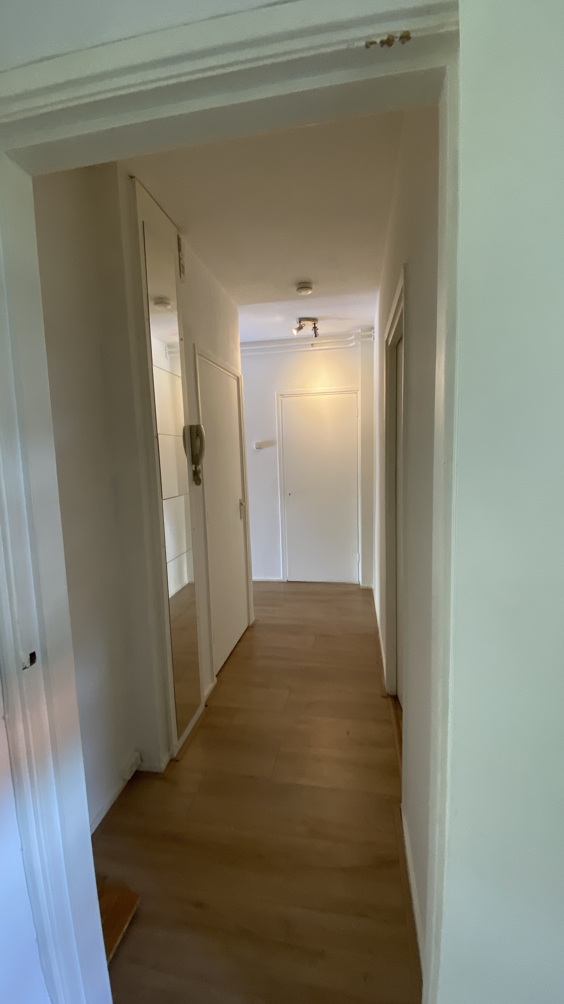 Professor Telderslaan 133