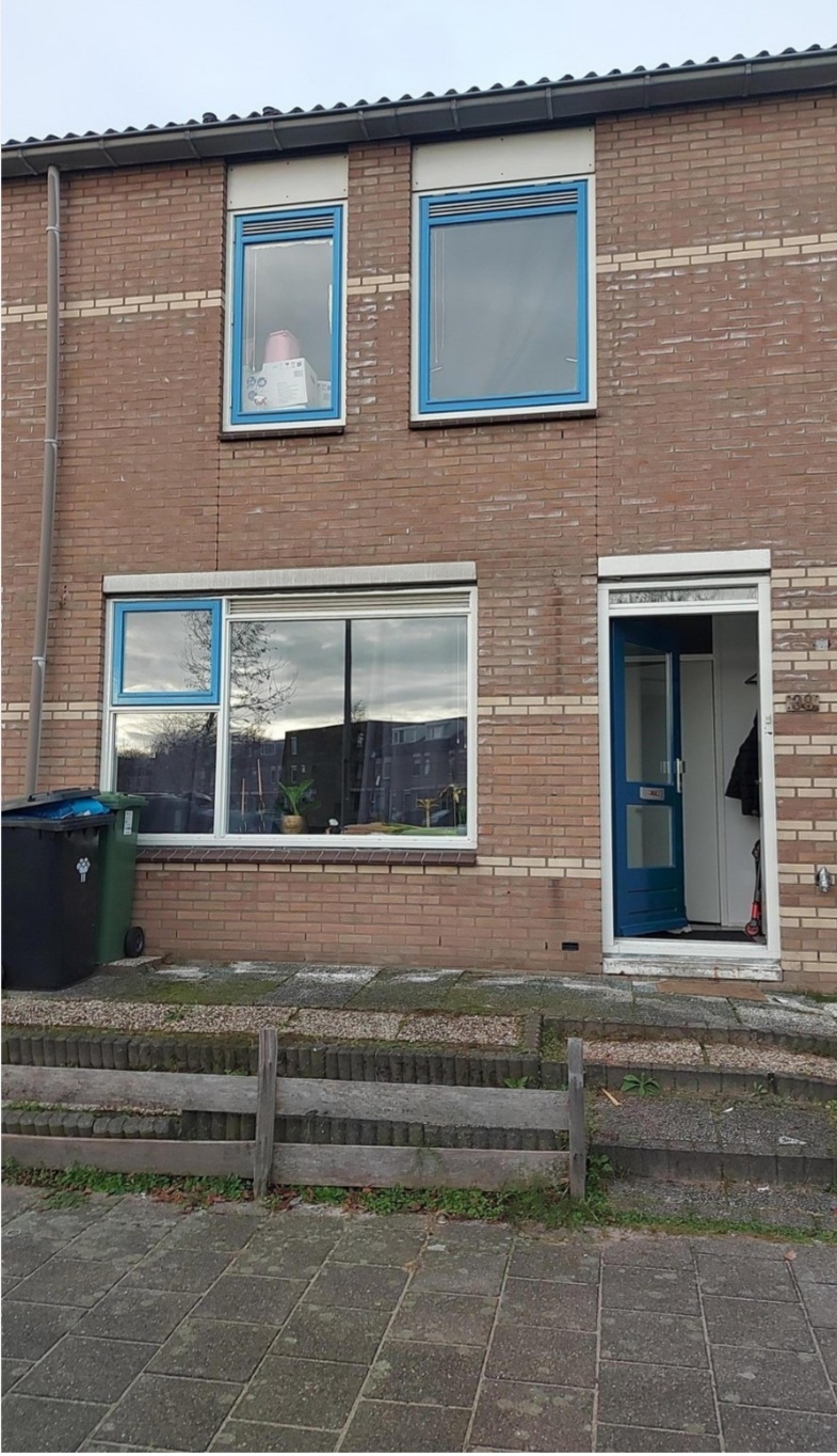 Barietgeel 38