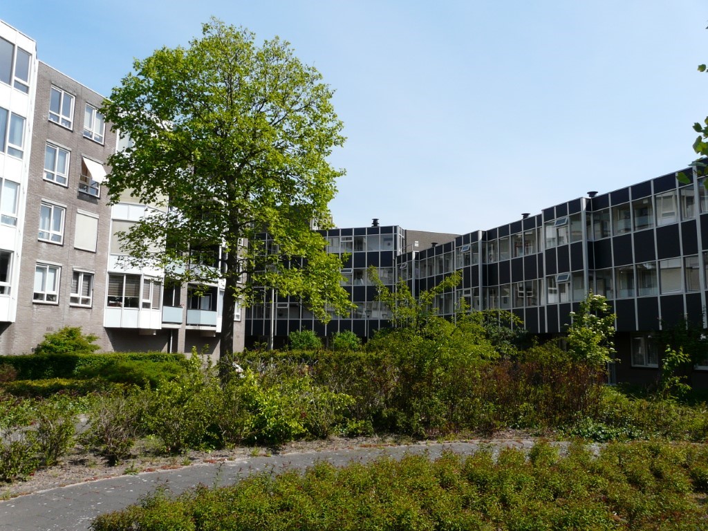 Van Heukeslootstraat 7