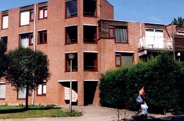 Laveibos 258