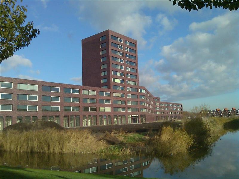 Knobbelzwaansingel 251