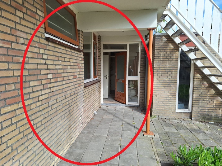 Wilgenhove 1