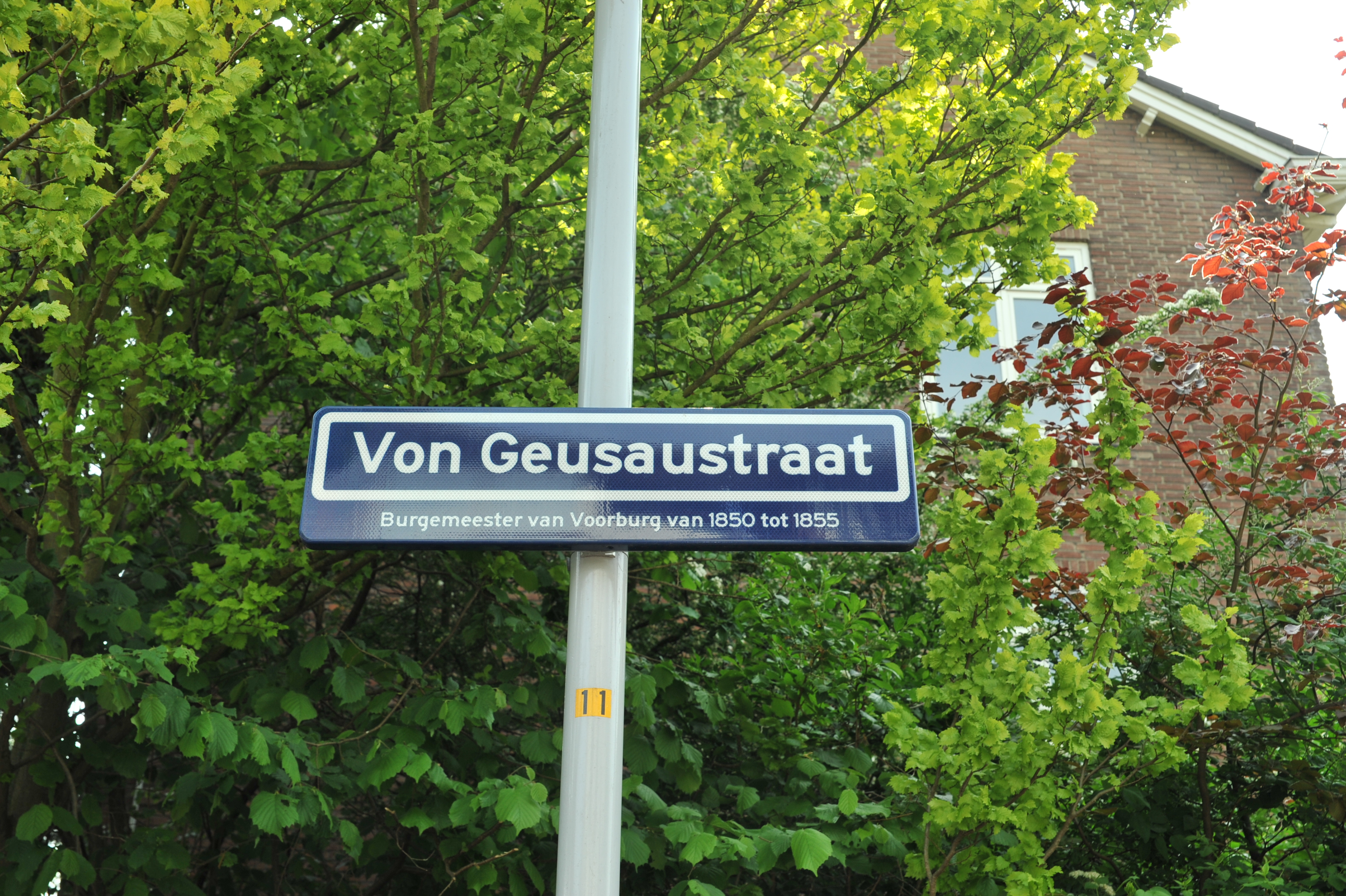 Von Geusaustraat 101