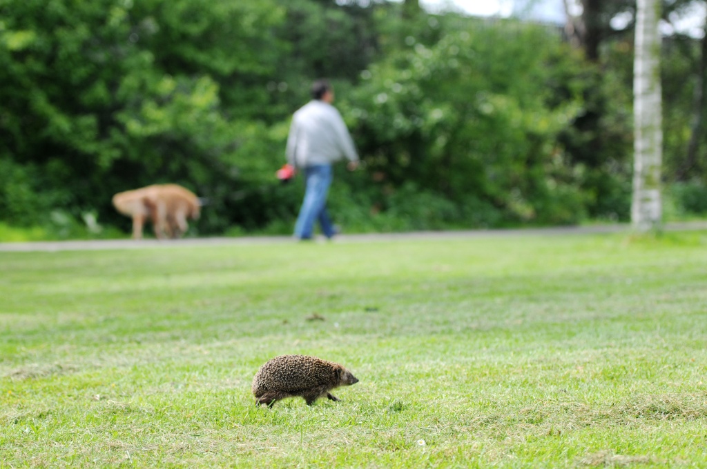Von Geusaustraat 101