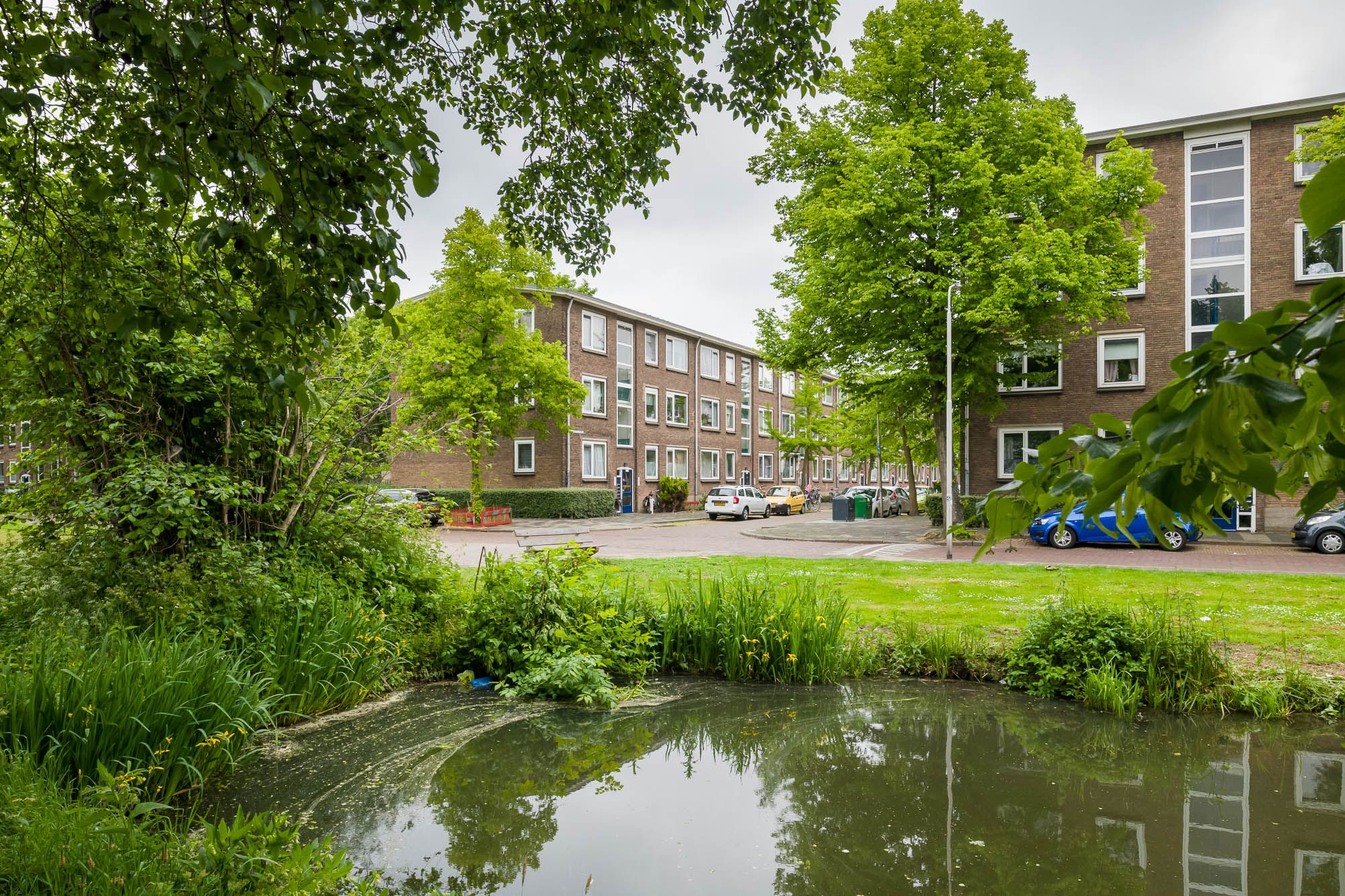 Gerardus de Haenstraat 71