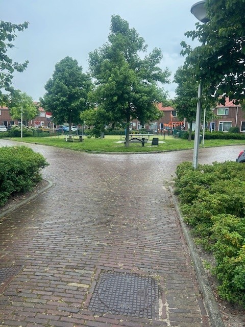 2e van Reenenstraat 33