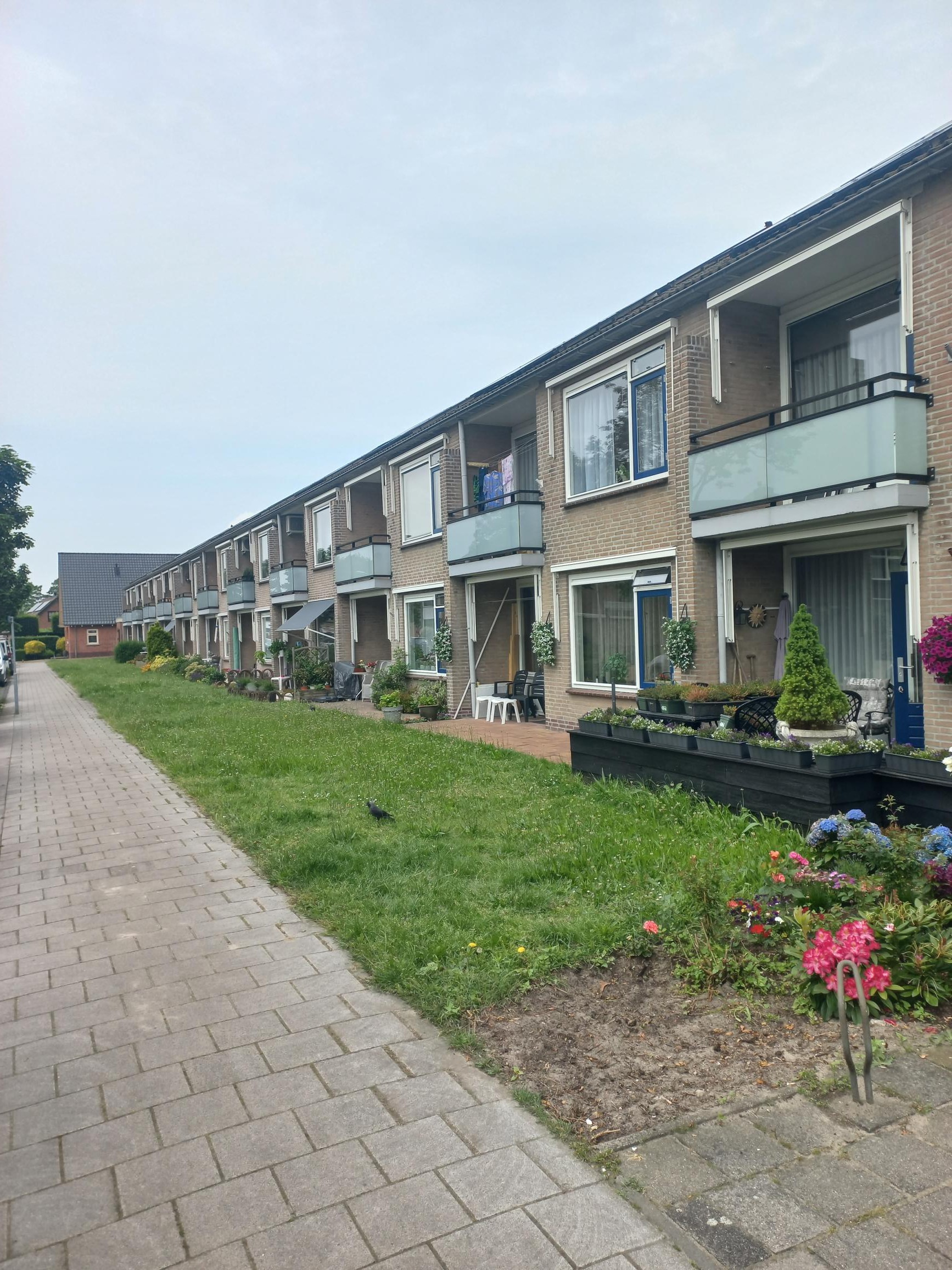 De Ruyterstraat 76, 2676 XD Maasdijk, Nederland