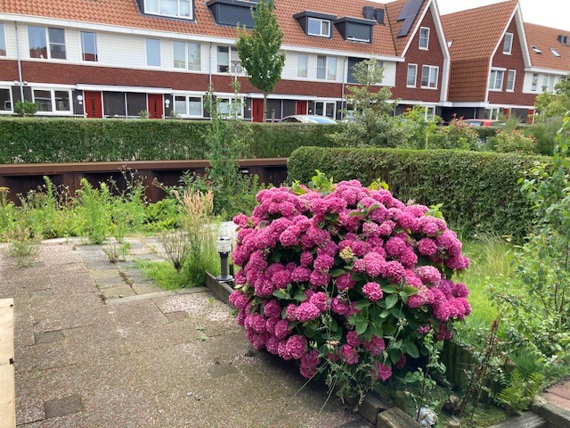 Prinses Beatrixlaan 7