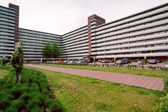 Alferbos 57