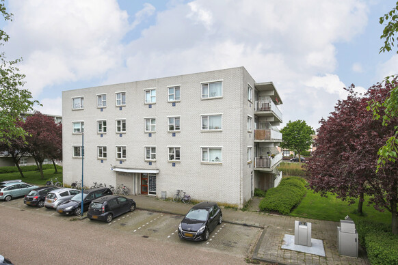 Granietgroen 53