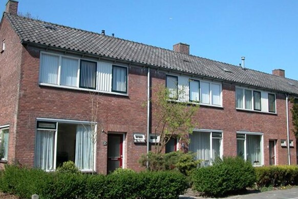Gele Meerbloem 4