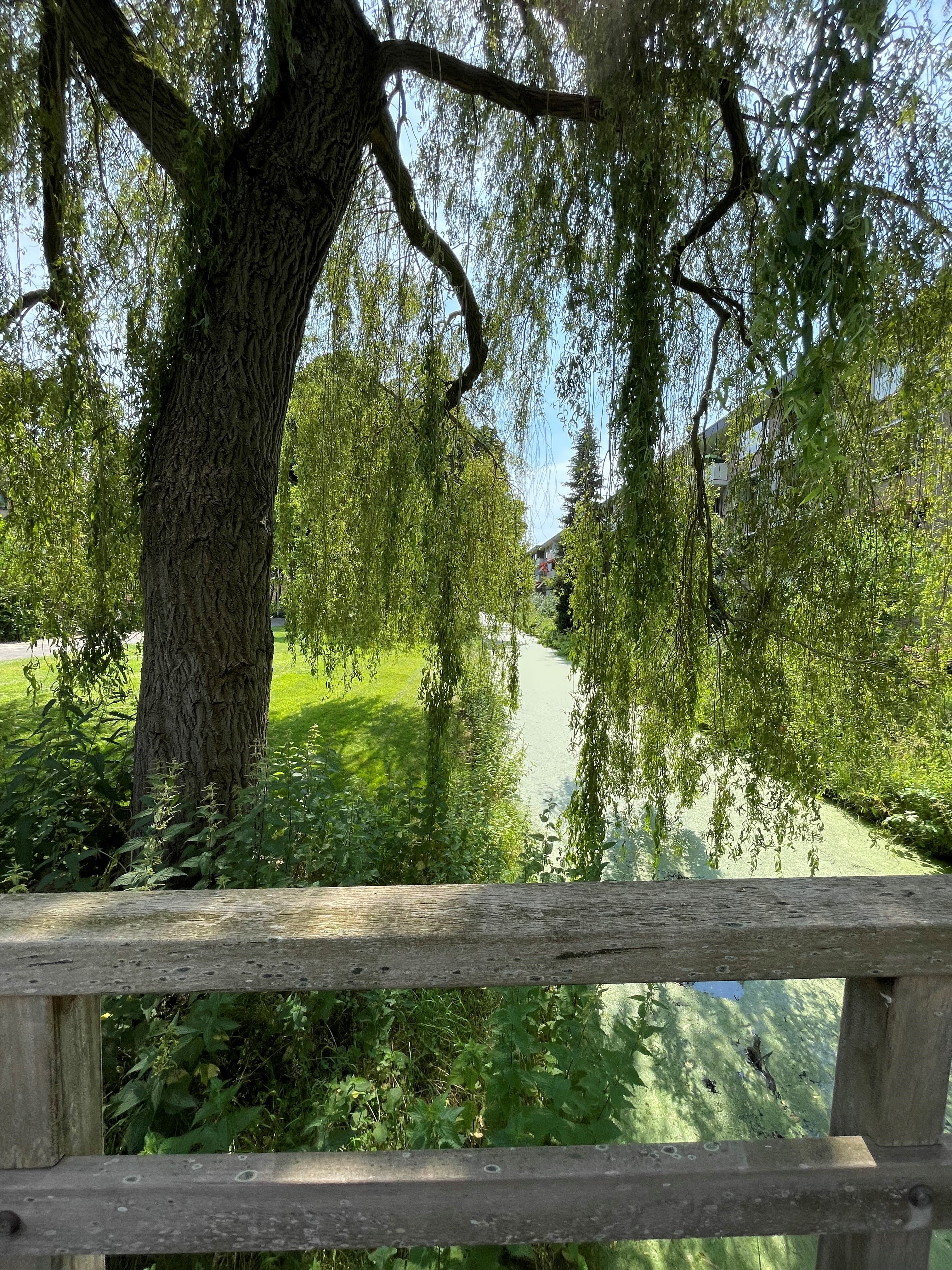 's-Heerenbergstraat 29