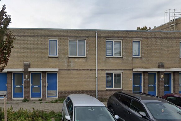 Nervilijn 95