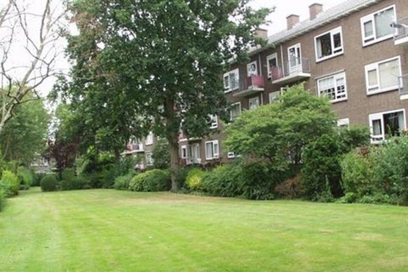 Galjoenstraat 13
