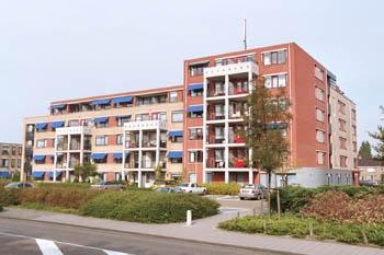 Anjerhof 38