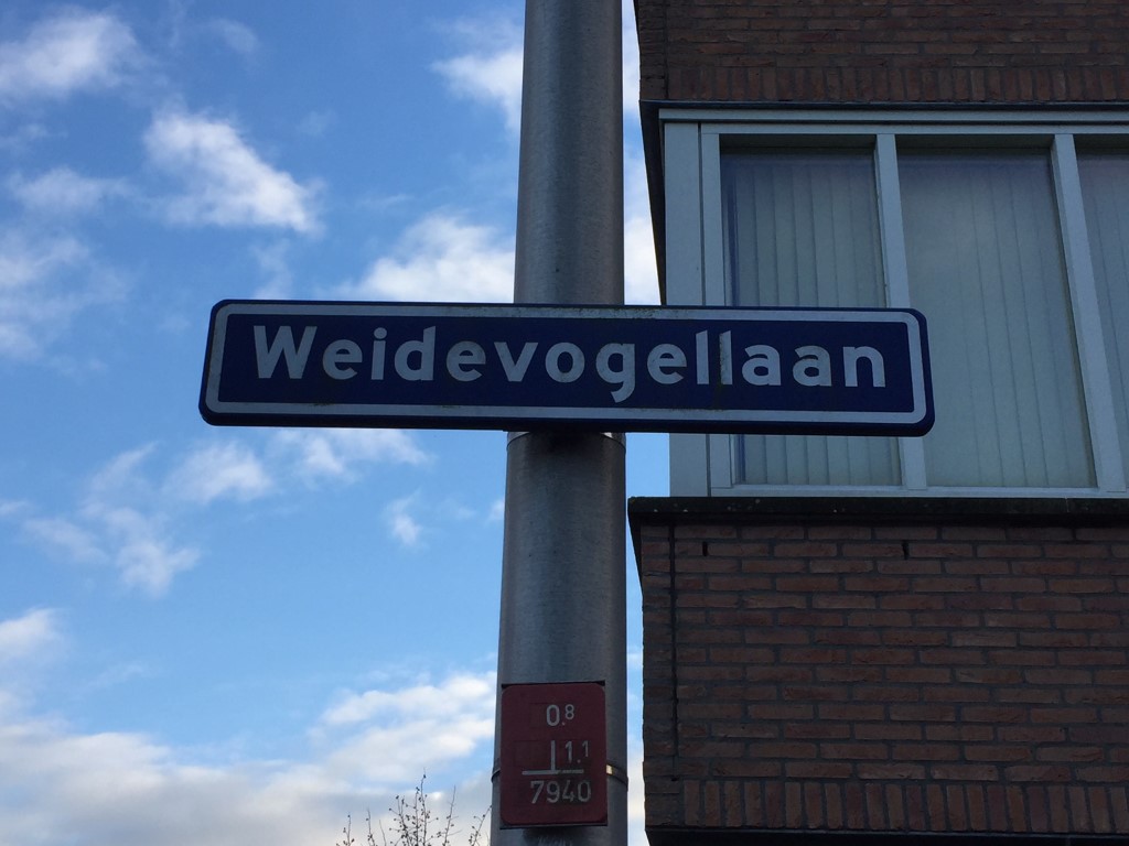 Weidevogellaan 257