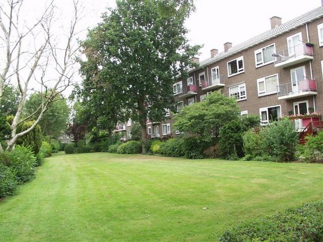 Galjoenstraat 9