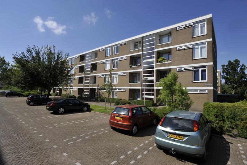 Ligustrumlaan 41