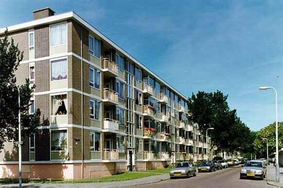 Vredeoord 56