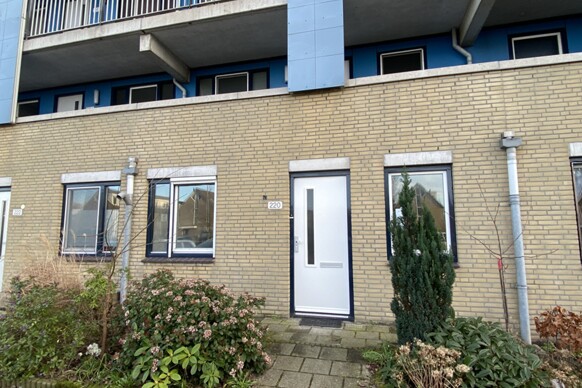 Aletta Jacobsstraat 220