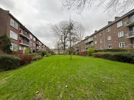 Galjoenstraat 10