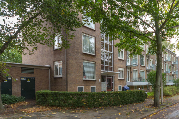 Dwingelostraat 88