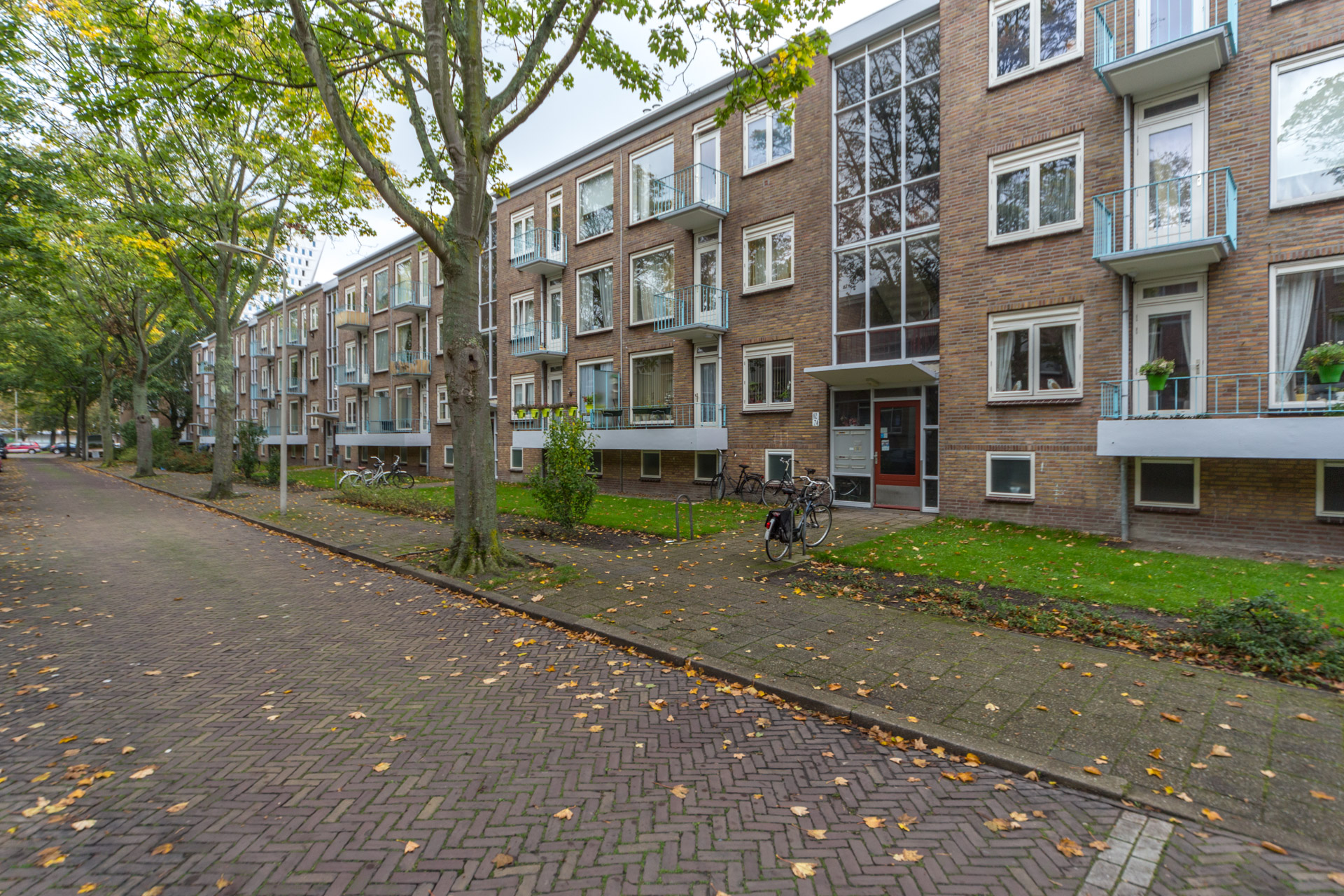 Dwingelostraat 88