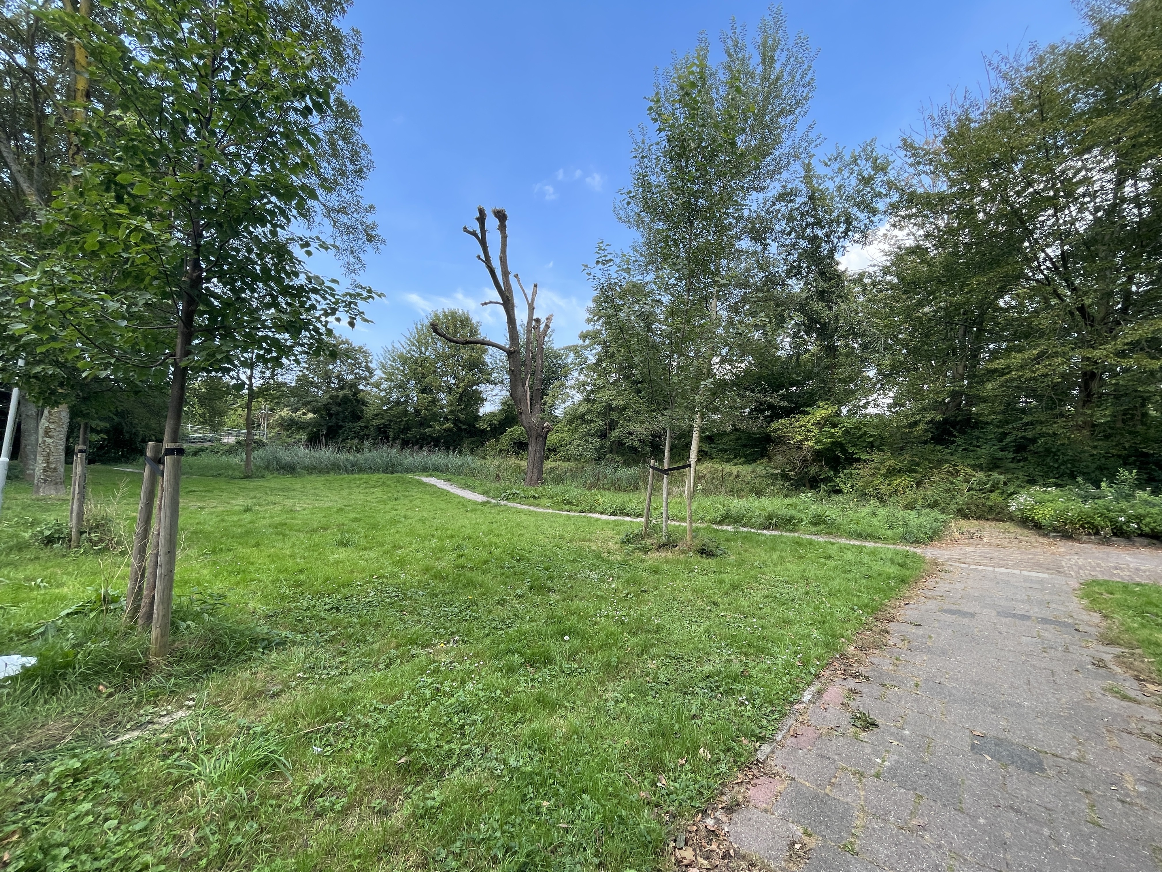 Sint Martinuslaan 286