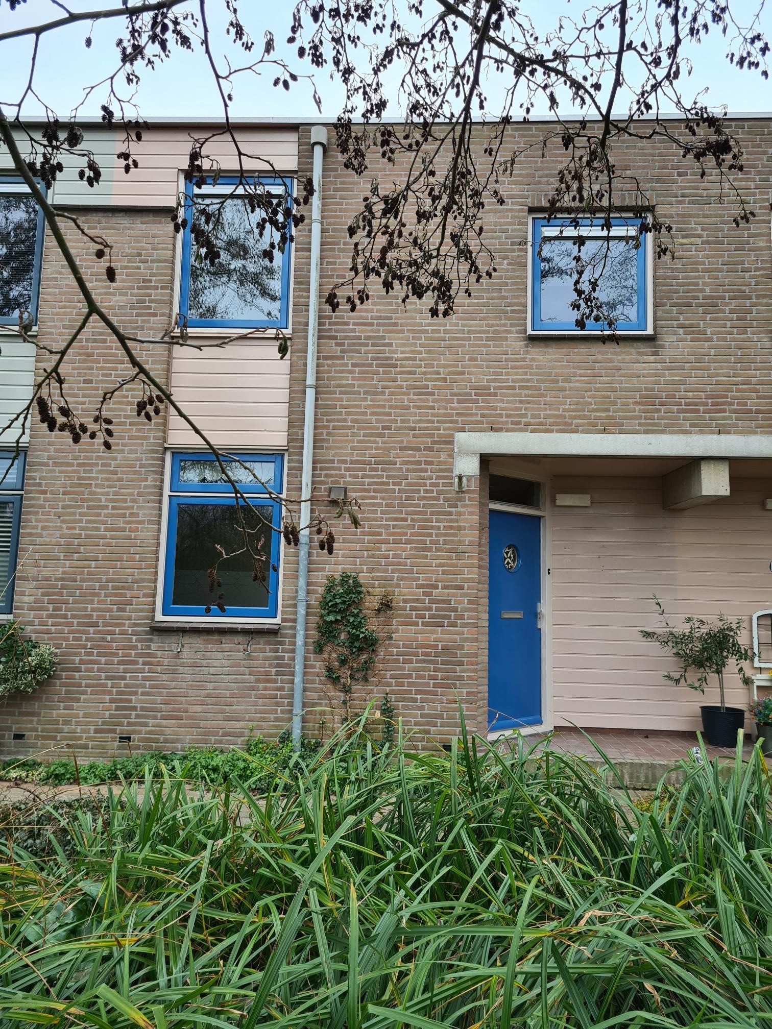 Buizerdhorst 5