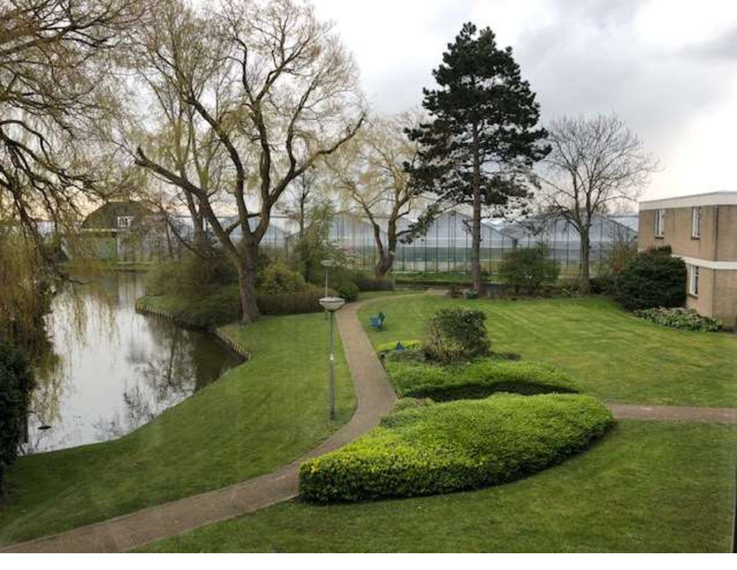 Wittebrug 10