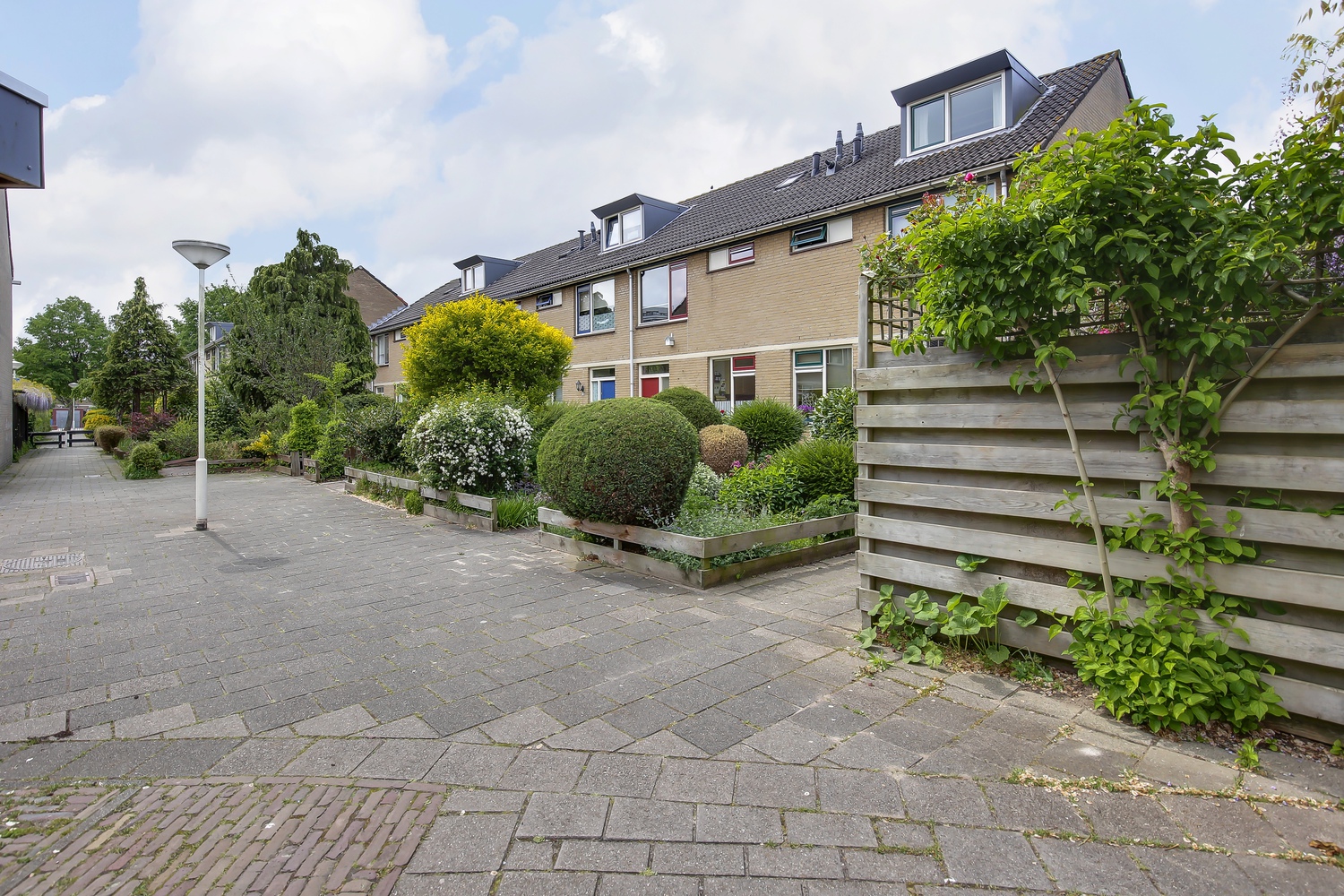 Tellingerbos 23