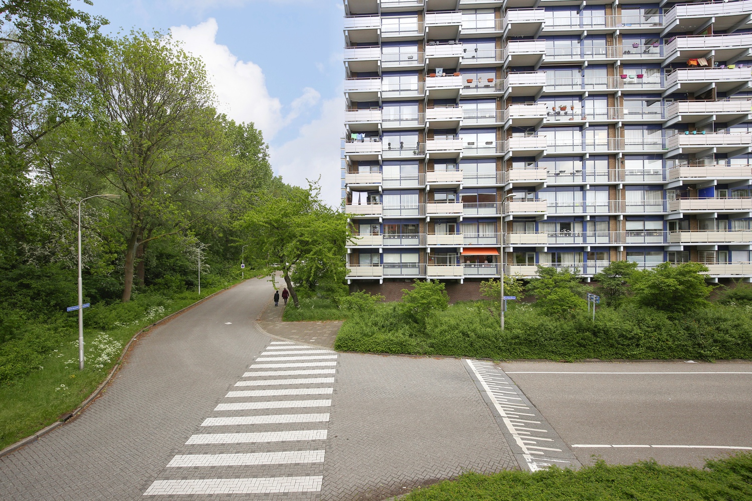 Albrandswaard 259