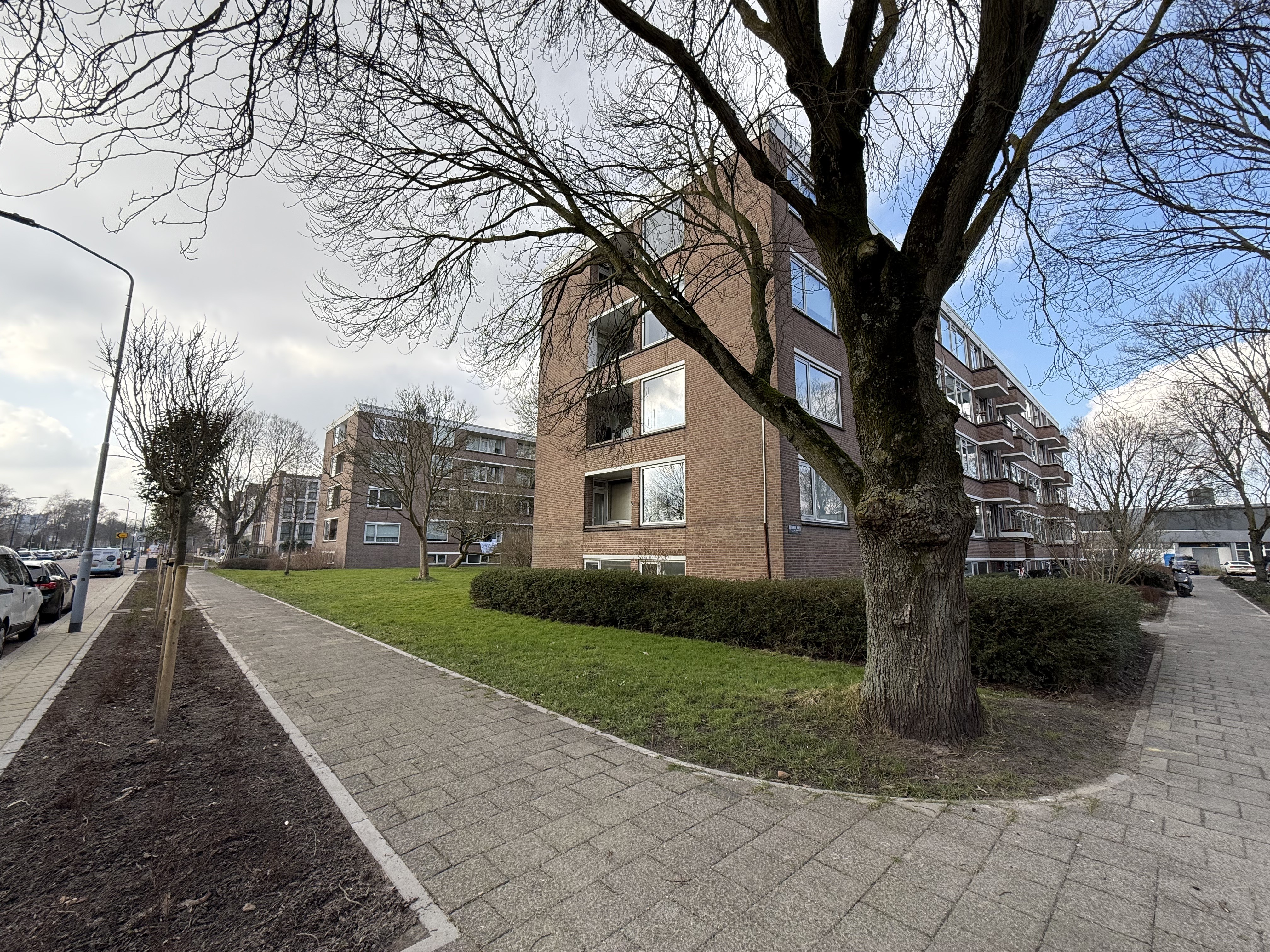 Brinnolaan 15
