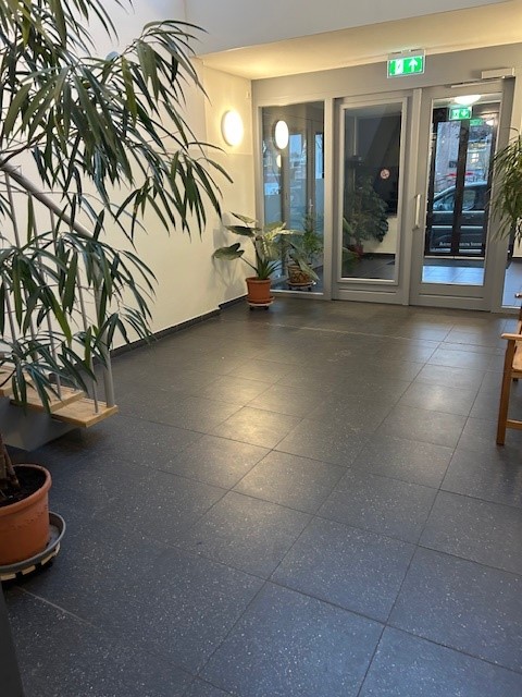 Gele Kwikstaart 34