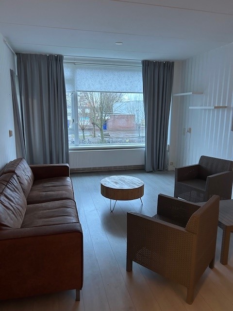 Gele Kwikstaart 34