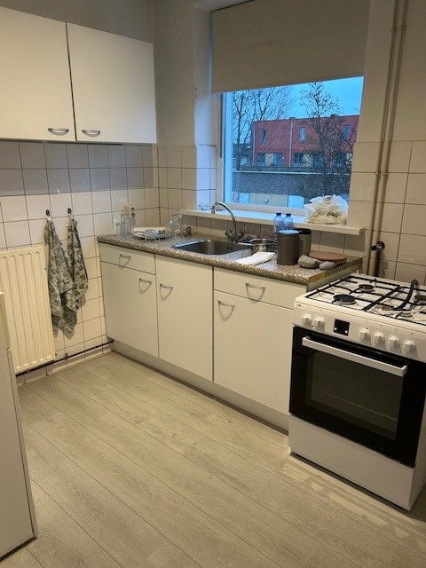 Gele Kwikstaart 34